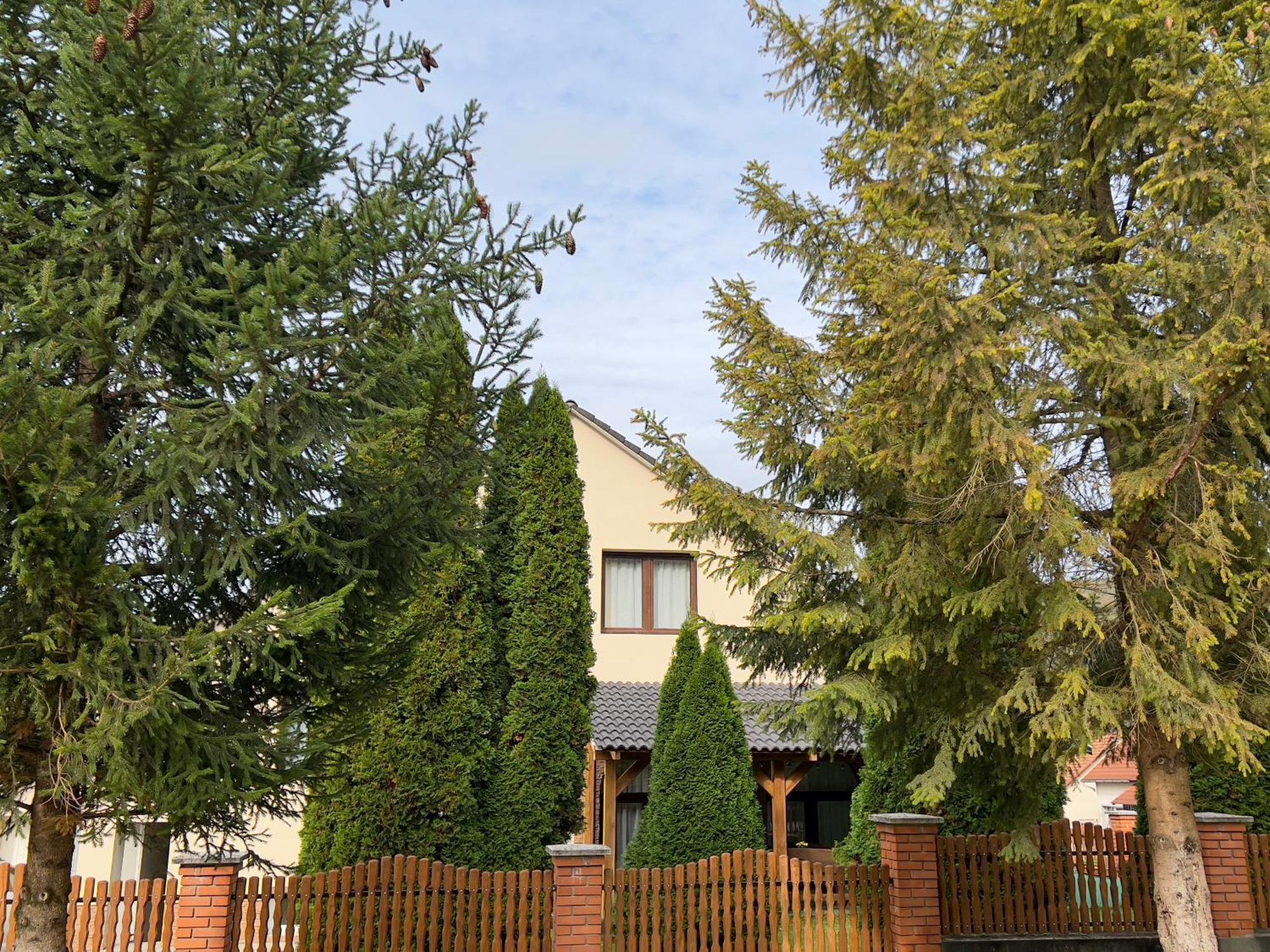 Kajta-voelgye Guesthouse, Josvafo, National Park Aggtelek Apartment